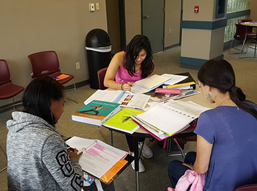 Students studying at table