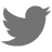 Twitter bird icon