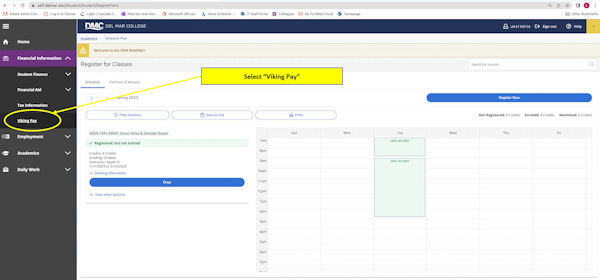 "Register for Classes" screen in WebDMC with "Viking Pay" link circled