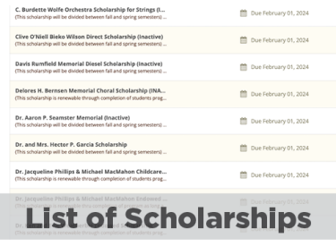 List of Foundation scholarship names