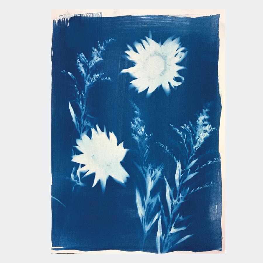 cyanotype of flowers