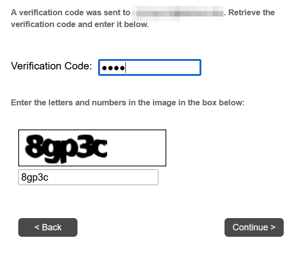Screenshot of verification input screen