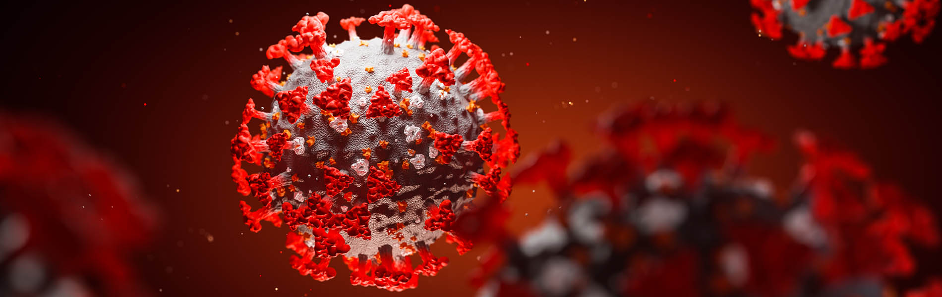 Microscope image of a coronavirus